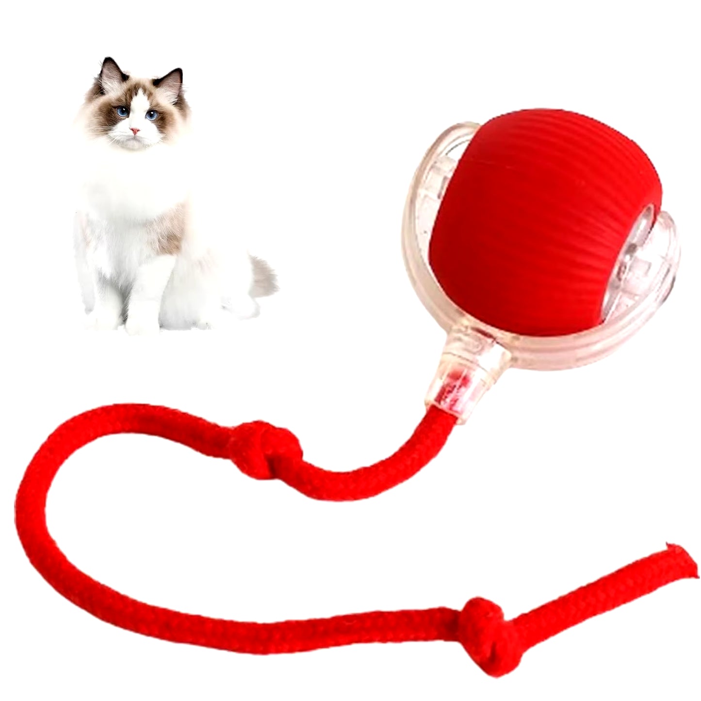 Lettuce Interactive Rolling Ball – Smart, Rechargeable Fun for Cats & Dogs